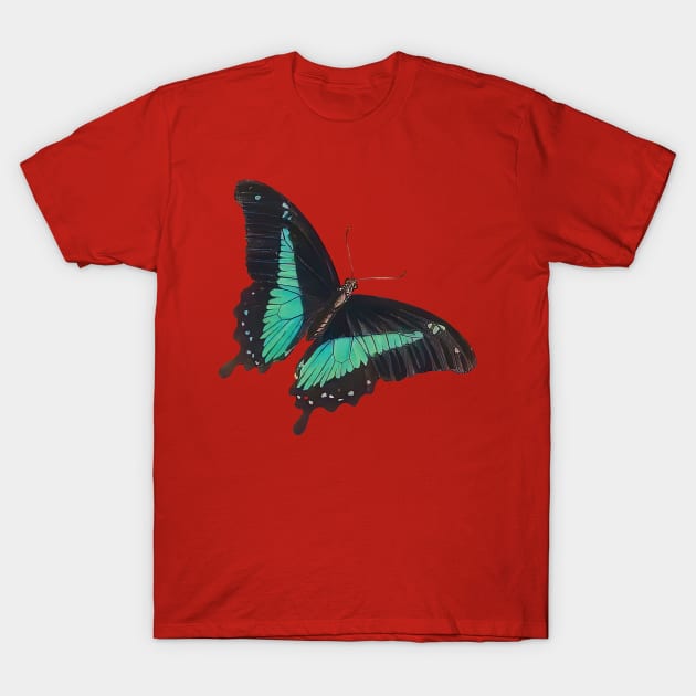 Black and Blue Swallowtail Butterfly T-Shirt by DPattonPD